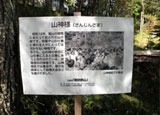 R_l䒌